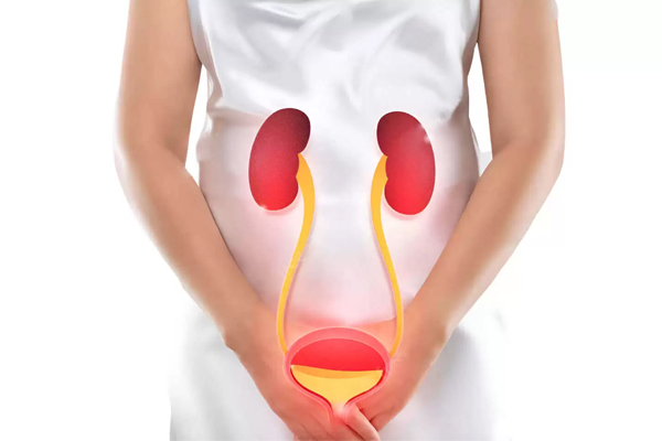 Viêm đường tiết niệu nữ uống thuốc gì nhanh khỏi? – Bác sĩ tư vấn